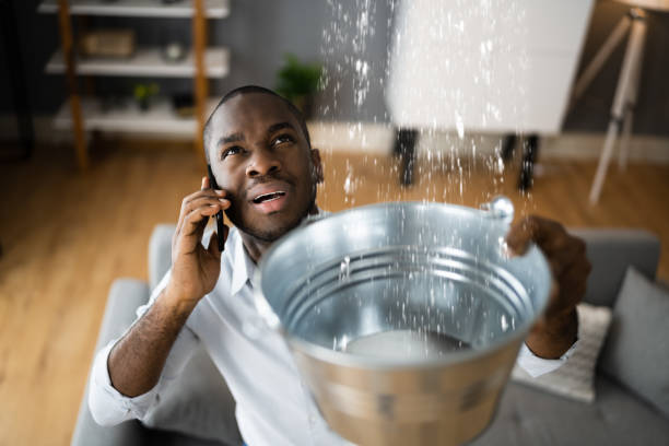  Mila Doce, TX Water damage restoration Pros
