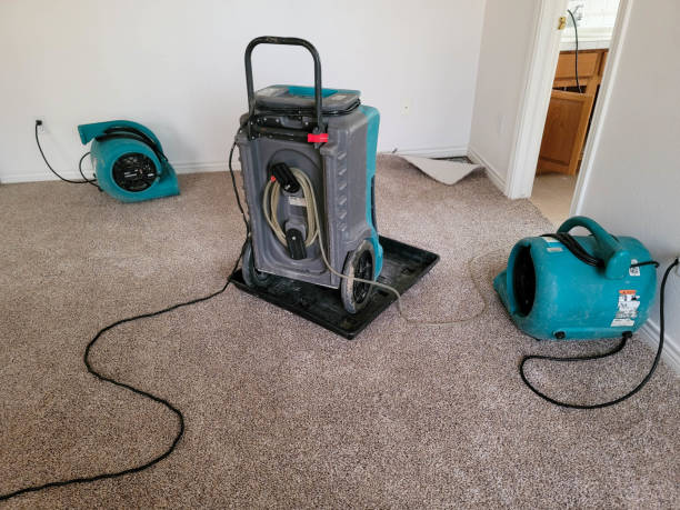 Best Residential water damage restoration  in Mila Doce, TX