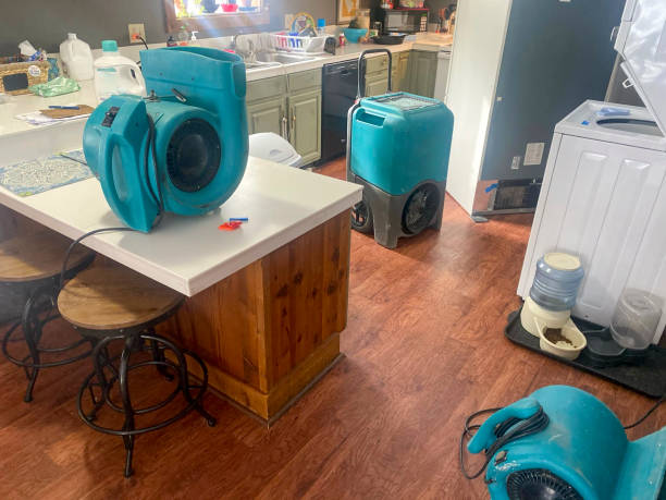 Best Water damage restoration cost  in Mila Doce, TX