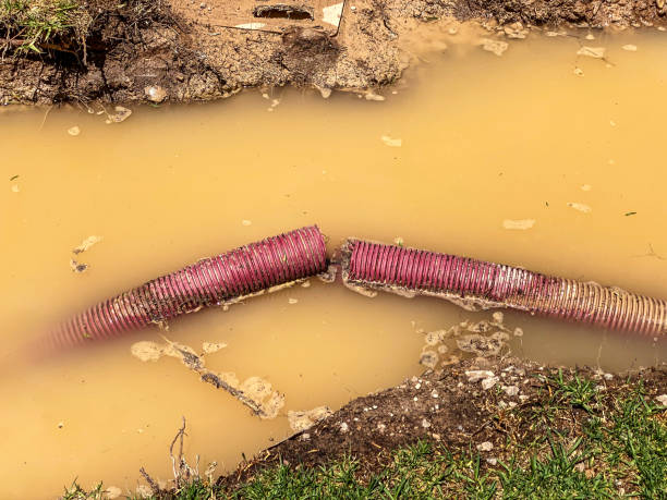 Best Flood damage cleanup  in Mila Doce, TX