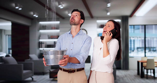 Best Flood damage cleanup  in Mila Doce, TX